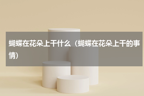 蝴蝶在花朵上干什么（蝴蝶在花朵上干的事情）