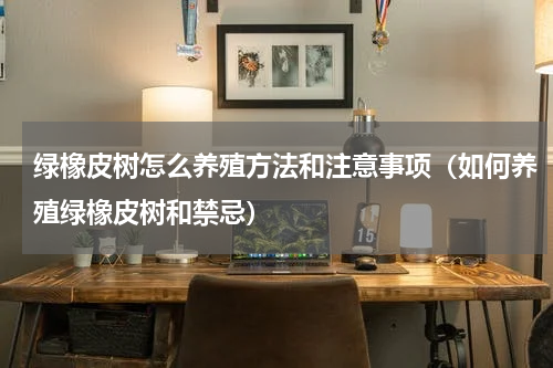 绿橡皮树怎么养殖方法和注意事项（如何养殖绿橡皮树和禁忌）
