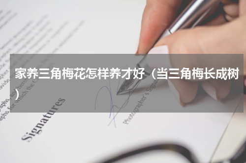 家养三角梅花怎样养才好（当三角梅长成树）