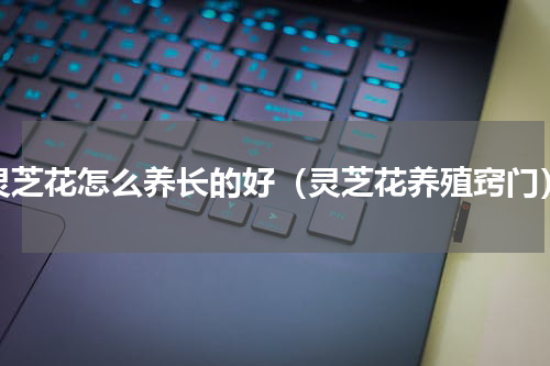 灵芝花怎么养长的好（灵芝花养殖窍门）
