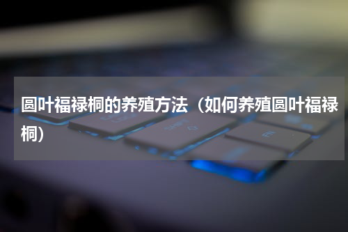 圆叶福禄桐的养殖方法（如何养殖圆叶福禄桐）