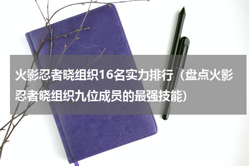火影忍者晓组织16名实力排行（盘点火影忍者晓组织九位成员的最强技能）