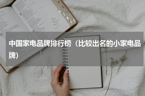 中国家电品牌排行榜（比较出名的小家电品牌）