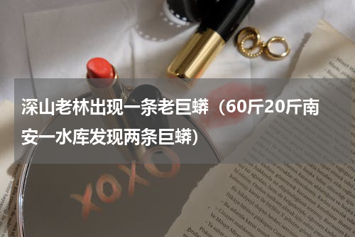 深山老林出现一条老巨蟒（60斤20斤南安一水库发现两条巨蟒）