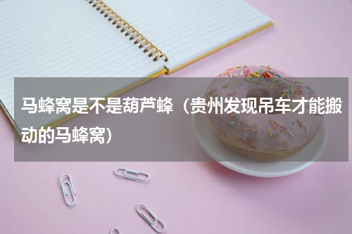 马蜂窝是不是葫芦蜂（贵州发现吊车才能搬动的马蜂窝）