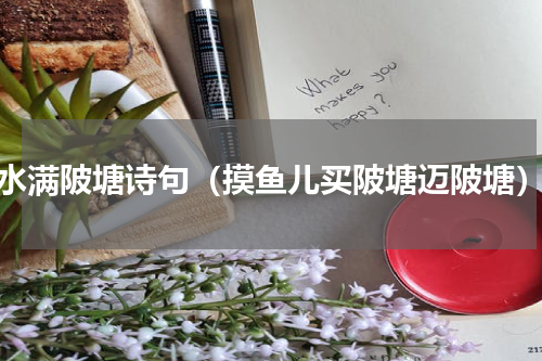 水满陂塘诗句（摸鱼儿买陂塘迈陂塘）