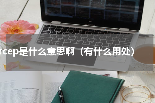rcep是什么意思啊（有什么用处）