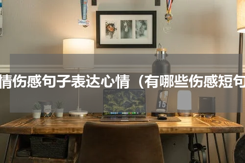 爱情伤感句子表达心情（有哪些伤感短句）