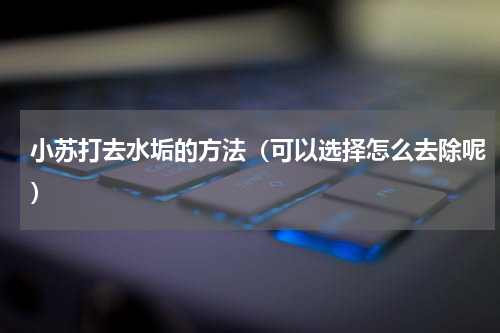 小苏打去水垢的方法（可以选择怎么去除呢）