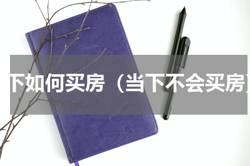 当下如何买房（当下不会买房）