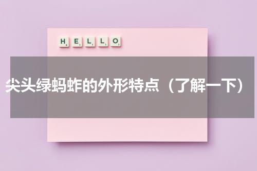 尖头绿蚂蚱的外形特点（了解一下）