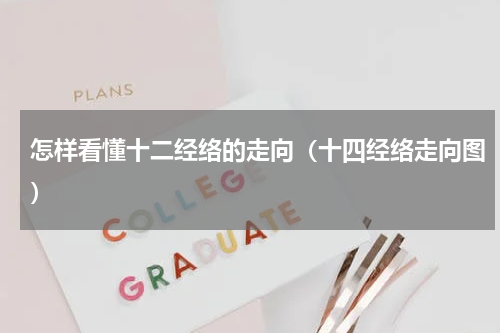 怎样看懂十二经络的走向（十四经络走向图）