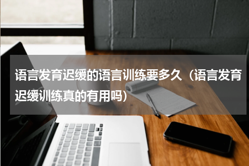 语言发育迟缓的语言训练要多久（语言发育迟缓训练真的有用吗）