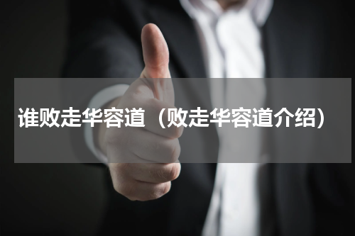 谁败走华容道（败走华容道介绍）