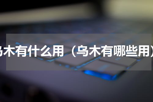 乌木有什么用（乌木有哪些用）