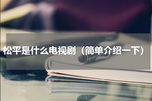 松平是什么电视剧（简单介绍一下）