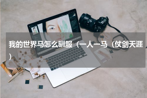 我的世界马怎么驯服（一人一马（仗剑天涯）