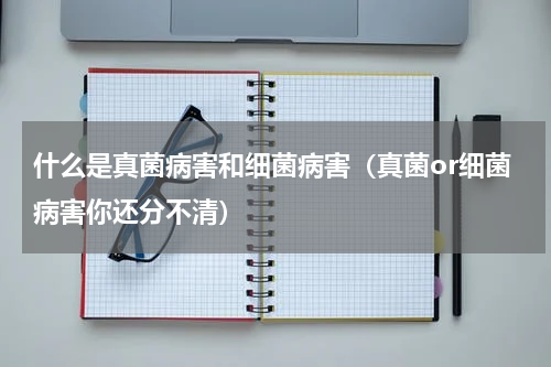什么是真菌病害和细菌病害（真菌or细菌病害你还分不清）