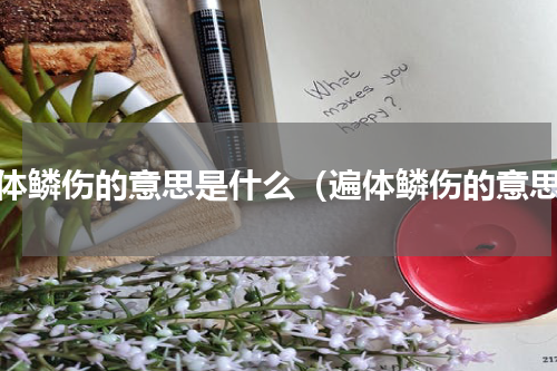 遍体鳞伤的意思是什么（遍体鳞伤的意思）