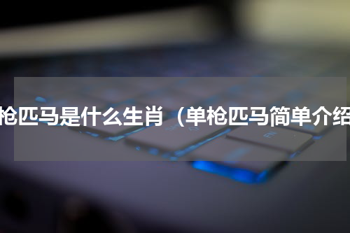 单枪匹马是什么生肖（单枪匹马简单介绍）