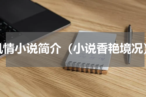 风情小说简介（小说香艳境况）