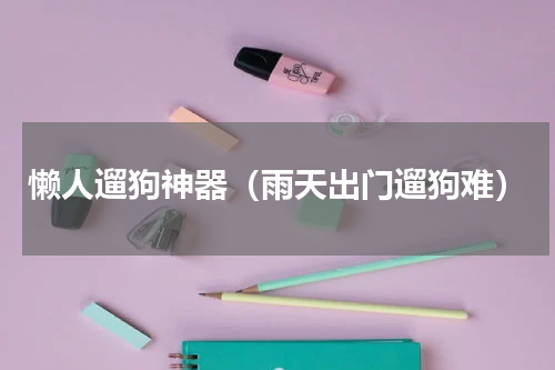 懒人遛狗神器（雨天出门遛狗难）