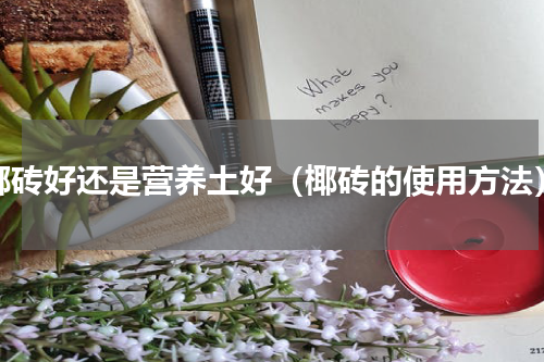 椰砖好还是营养土好（椰砖的使用方法）