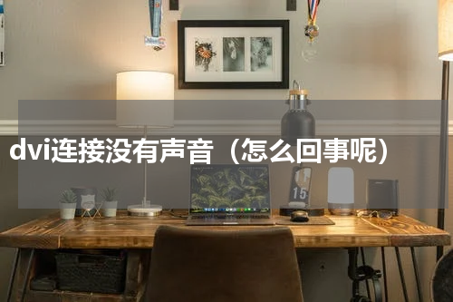 dvi连接没有声音（怎么回事呢）