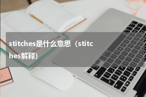 stitches是什么意思（stitches解释）