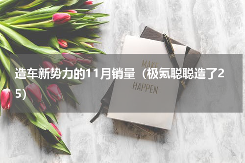造车新势力的11月销量（极氪聪聪造了25）