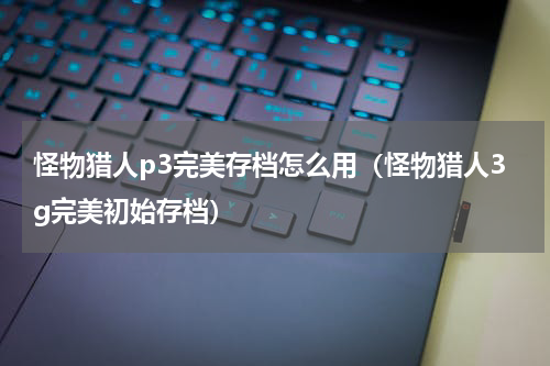 怪物猎人p3完美存档怎么用（怪物猎人3g完美初始存档）