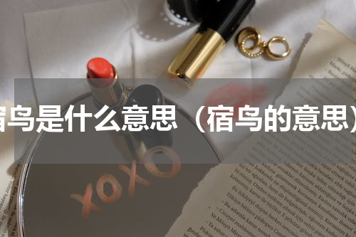 宿鸟是什么意思（宿鸟的意思）