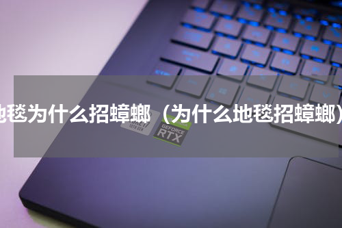 地毯为什么招蟑螂（为什么地毯招蟑螂）