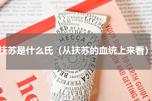 扶苏是什么氏（从扶苏的血统上来看）