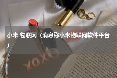 小米 物联网（消息称小米物联网软件平台）
