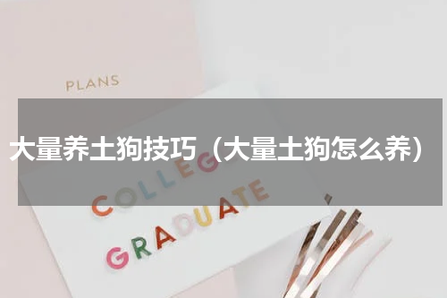 大量养土狗技巧（大量土狗怎么养）