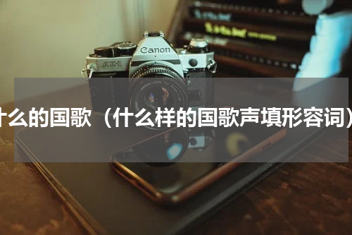 什么的国歌（什么样的国歌声填形容词）