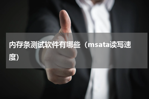内存条测试软件有哪些（msata读写速度）