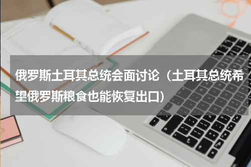 俄罗斯土耳其总统会面讨论（土耳其总统希望俄罗斯粮食也能恢复出口）