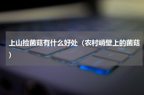 上山捡菌菇有什么好处（农村峭壁上的菌菇）