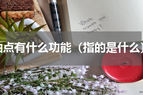 轴点有什么功能（指的是什么）
