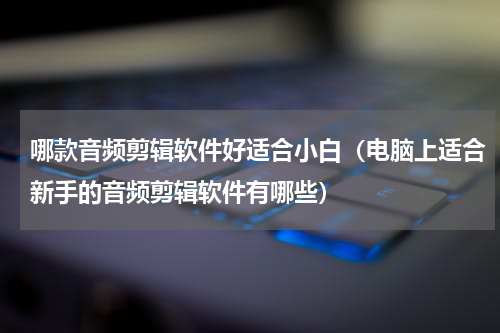 哪款音频剪辑软件好适合小白（电脑上适合新手的音频剪辑软件有哪些）