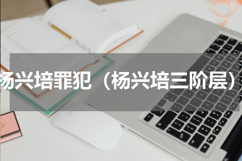 杨兴培罪犯（杨兴培三阶层）