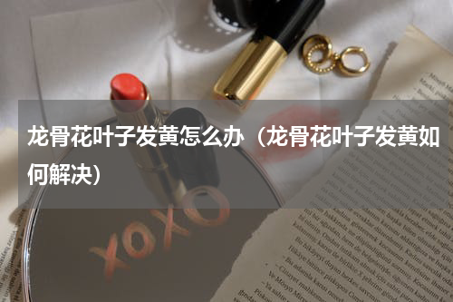 龙骨花叶子发黄怎么办（龙骨花叶子发黄如何解决）