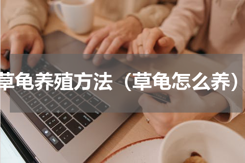 草龟养殖方法（草龟怎么养）
