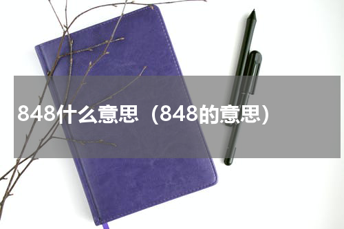848什么意思（848的意思）