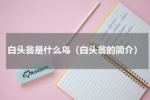 白头翁是什么鸟（白头翁的简介）