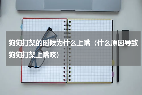 狗狗打架的时候为什么上嘴（什么原因导致狗狗打架上嘴咬）