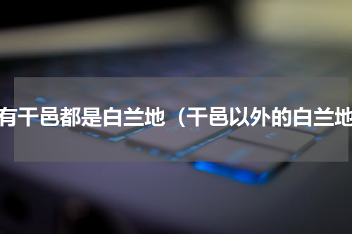 所有干邑都是白兰地（干邑以外的白兰地）