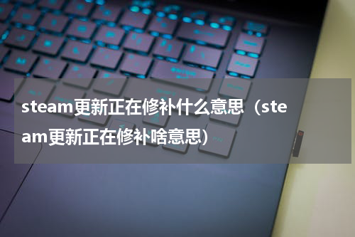 steam更新正在修补什么意思（steam更新正在修补啥意思）